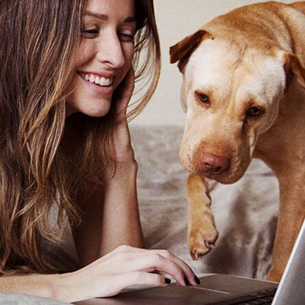 Frau und Hund schauen auf einen Computer