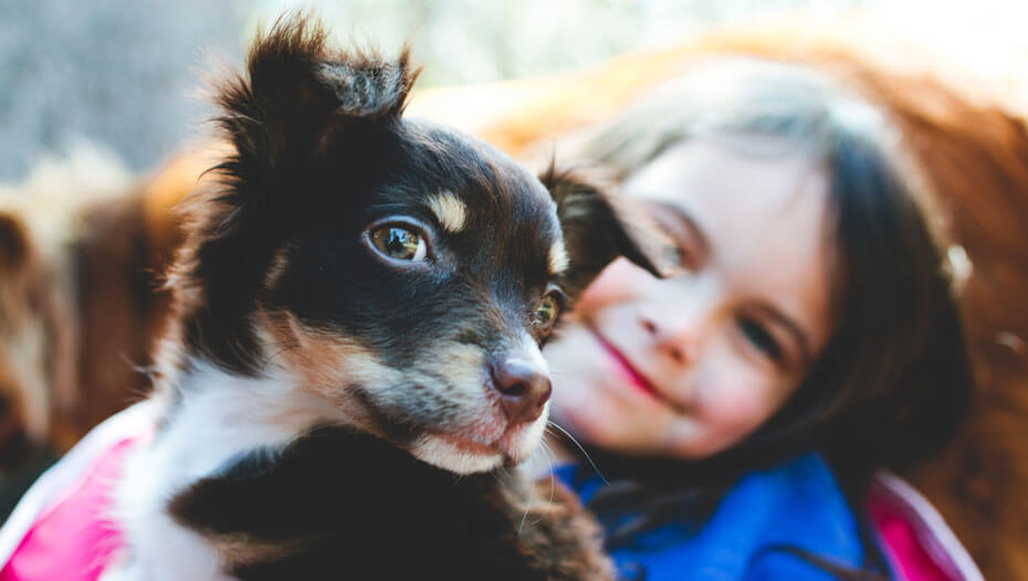 Enfant avec chiot