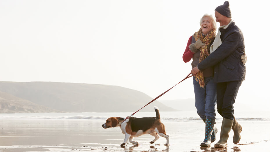 Couple marchant beagle sur la plage