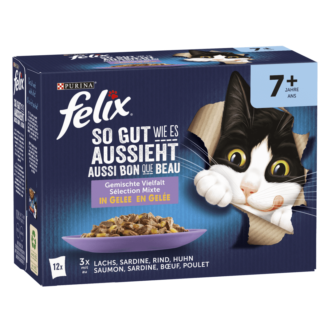 Aliment pour chats Felix 12 × 100 g Acheter - Nourriture humide