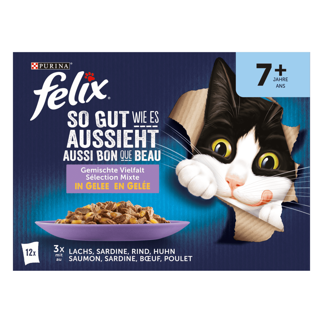 FELIX Tendres Effilés en Gelée Poissons - 12 x 85 g - Sachets repas pour  chat adulte