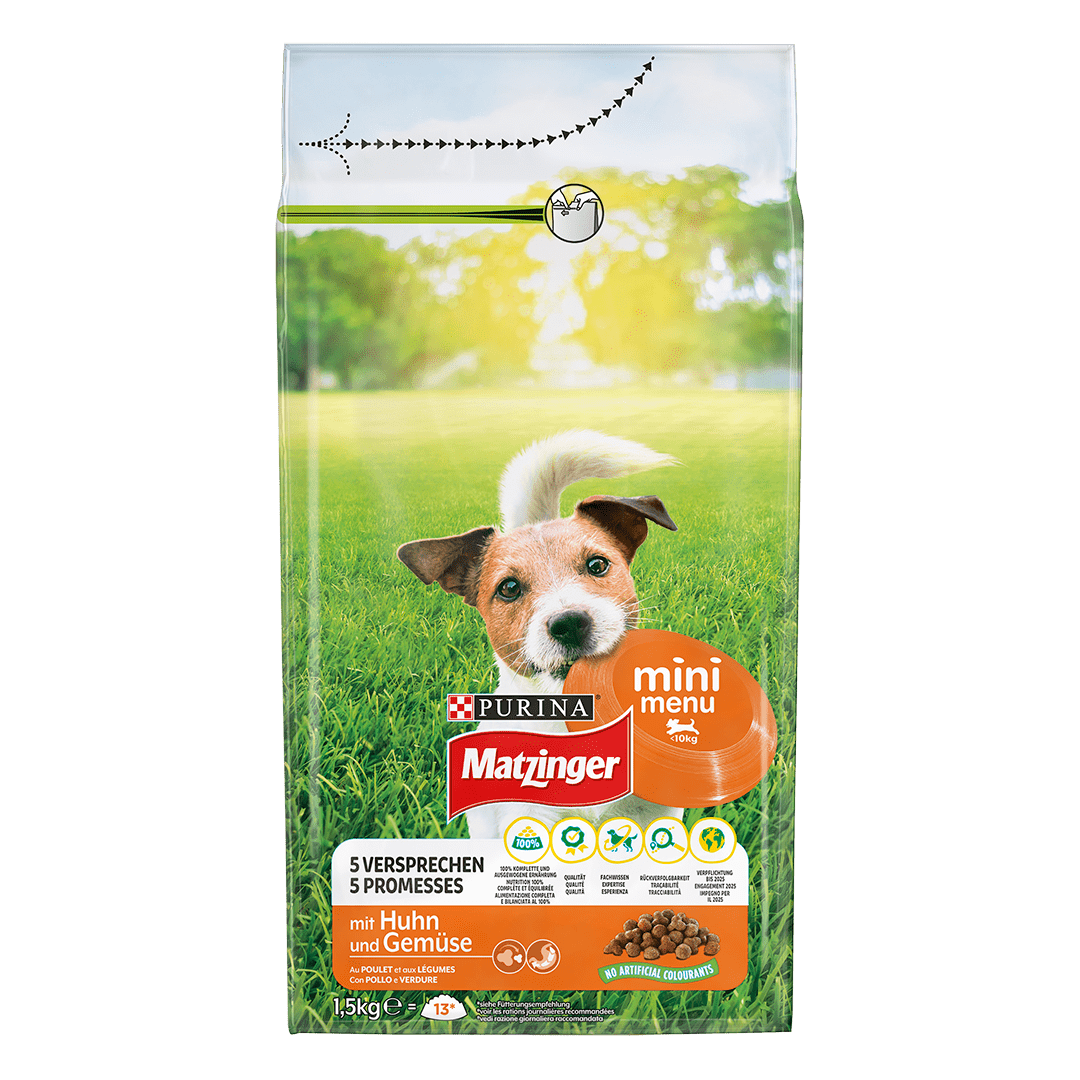 greek yogurt for dog upset stomach