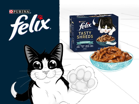 Purina Felix Soup Nourriture humide saveur thon pour chat adulte