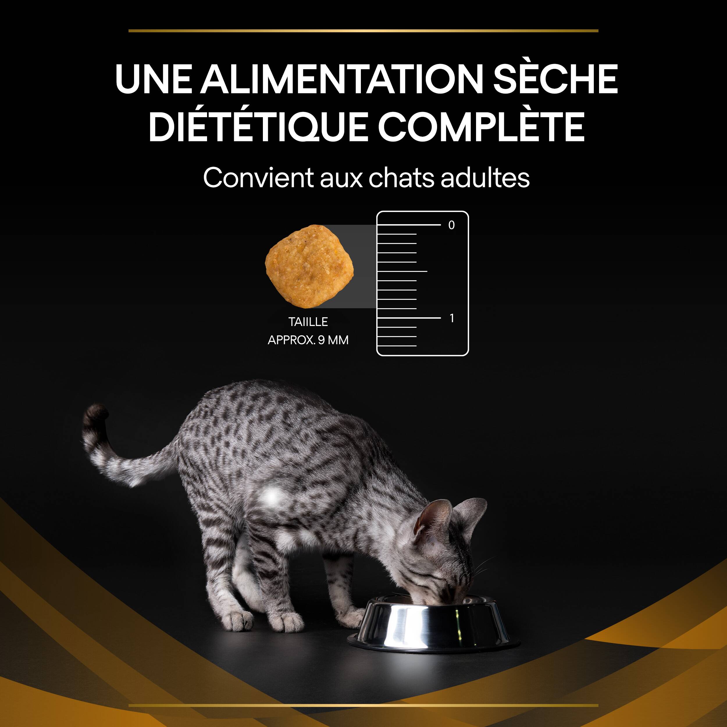 Pro Plan Veterinary Diet NF Renal Function pour chats : croquettes