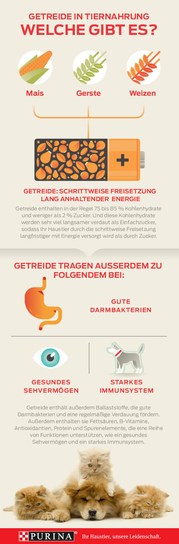 grains info graphic