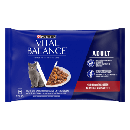 VITAL BALANCE® humide adult boeuf