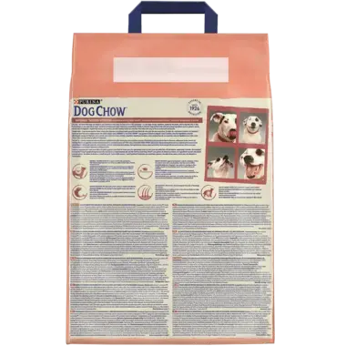 Dog Chow Sensitive Adult Saumon