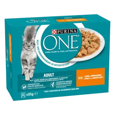 PURINA ONE® ADULT Effilés en Sauce au Poulet et aux Haricots Verts​