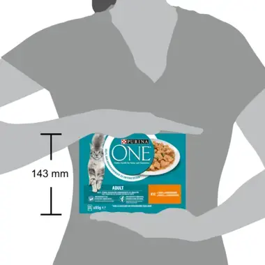 PURINA ONE® ADULT Effilés en Sauce au Poulet et aux Haricots Verts​