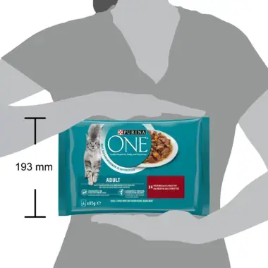 PURINA ONE® ADULTE Effilés en Sauce au Bœuf et aux Carottes​