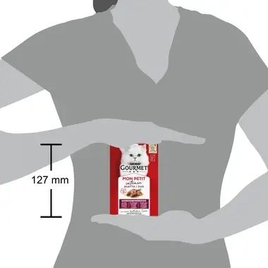 GOURMET™ MON PETIT Intense DUO Fleisch 6x50g​