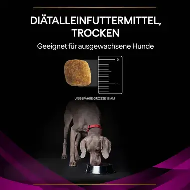 PURINA® PRO PLAN® VETERINARY DIETS Canine UR Urinary - Trockenfutter für Hunde zur Unterstützung der Harnfunktion