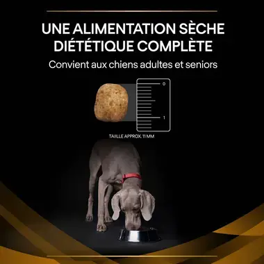 PURINA® PRO PLAN® VETERINARY DIETS Canine NF Renal Function - Croquettes pour chien souffrant d'insuffisance rénale