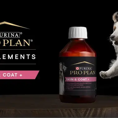 Aliment complémentaire pour chien PRO PLAN®