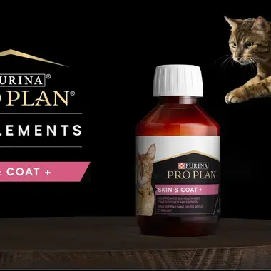 Aliment complémentaire pour chat PRO PLAN®