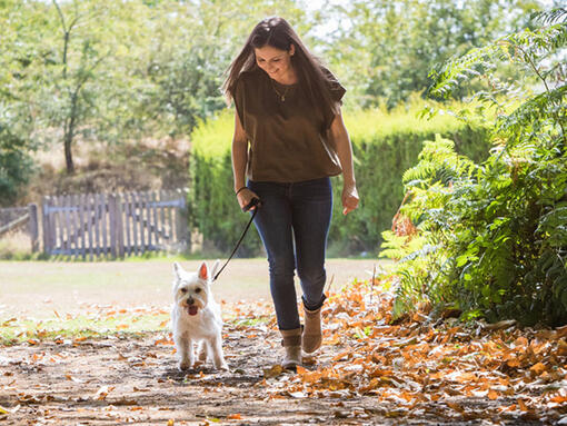 Frau, die mit Hund spazieren geht