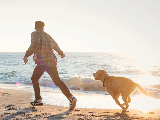 Besitzer und sein Hund in der Nähe des Meeres