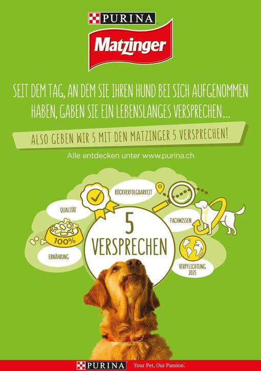 Die 5 Versprechen von Friskies Hund