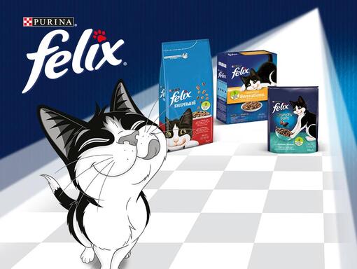 FELIX® en croquettes : le goût et la praticité