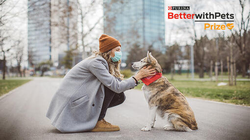 Mieux avec les animaux de compagnie prix femme assise avec chien