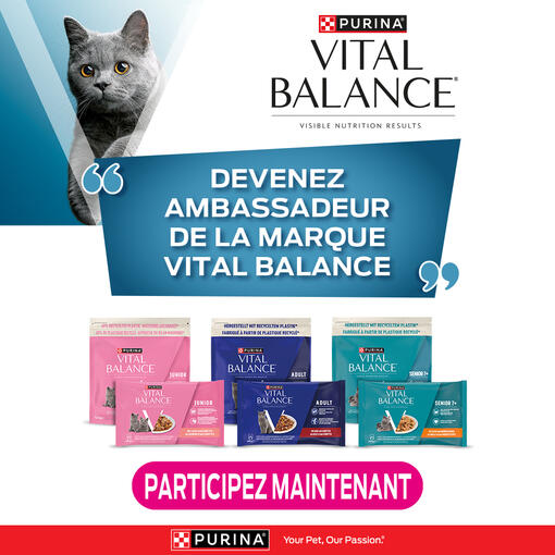 Vital Balance Concours
